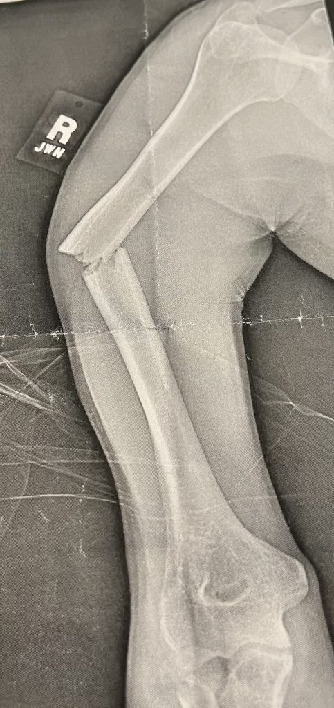 Patient image of: Linda Viner