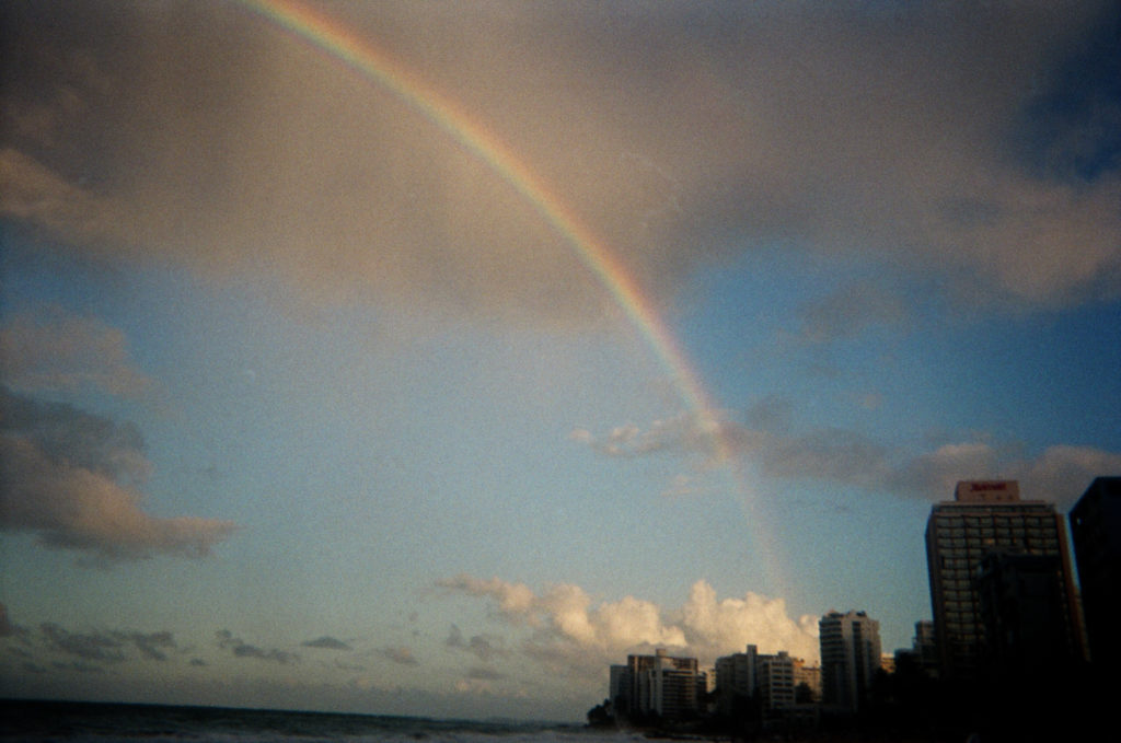 Carol Doscher
