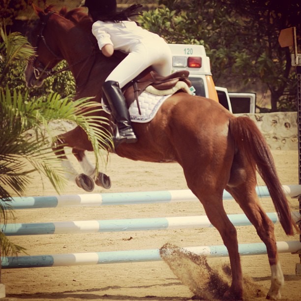 Patient image of: Ana Barretto