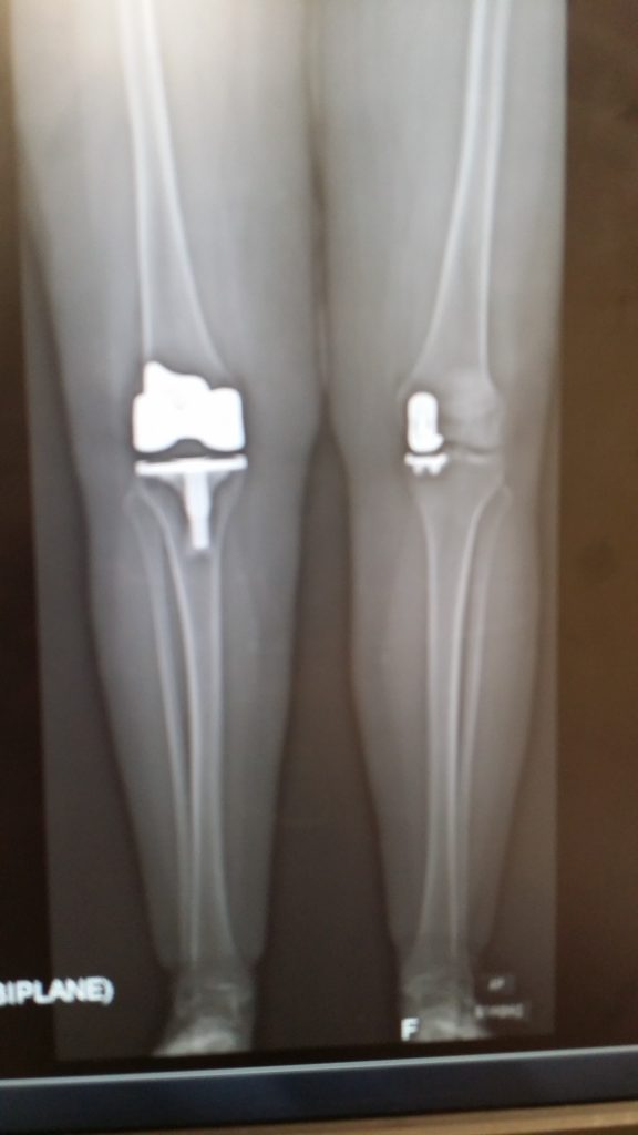 Patient image of: Jina Oveissi