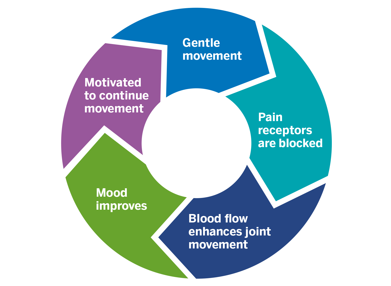 Circular graph showing gentle movement, pain receptors blocked, blood flow enhances joint movement, mood improves, motivated to continue movement